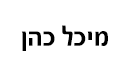 תג שם כסף מוברש 3/7